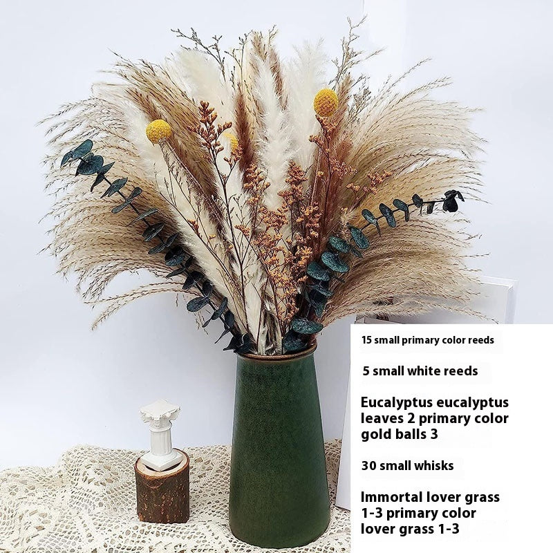 PAMPAS Bohemian Decorative Reed Rabbit Tail Grass Mix And Match Dried Flowers Bouquet The Unalia Brand