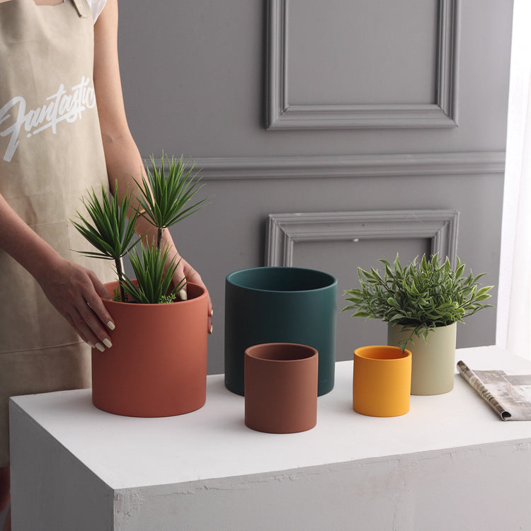 Assorted Cylinder Succulent Vases The Unalia Brand