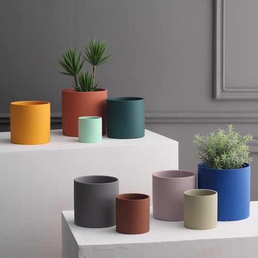 Assorted Cylinder Succulent Vases The Unalia Brand