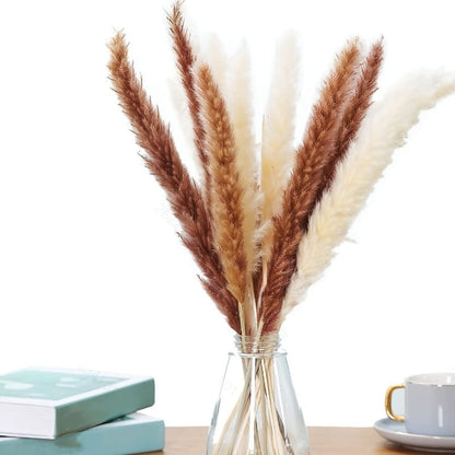 PAMPAS Bohemian Decorative Reed Rabbit Tail Grass Mix And Match Dried Flowers Bouquet The Unalia Brand