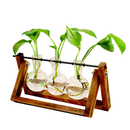 Swing Plant Glass Stand The Unalia Brand