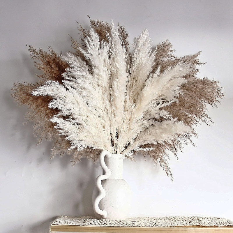 PAMPAS Bohemian Decorative Reed Rabbit Tail Grass Mix And Match Dried Flowers Bouquet The Unalia Brand