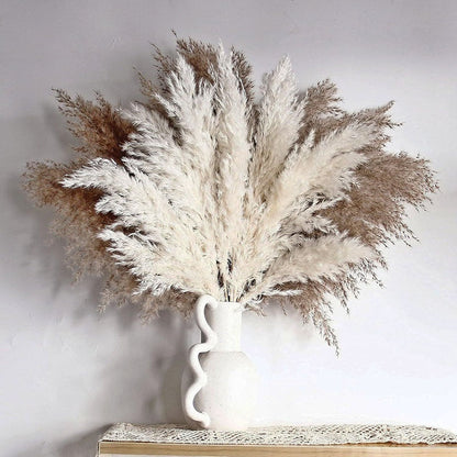 PAMPAS Bohemian Decorative Reed Rabbit Tail Grass Mix And Match Dried Flowers Bouquet The Unalia Brand