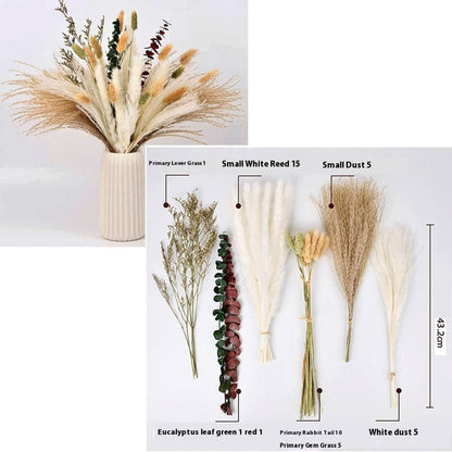 PAMPAS Bohemian Decorative Reed Rabbit Tail Grass Mix And Match Dried Flowers Bouquet The Unalia Brand