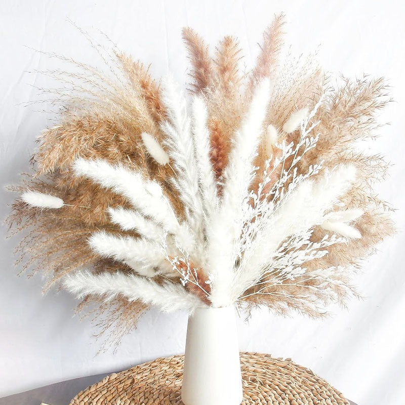 PAMPAS Bohemian Decorative Reed Rabbit Tail Grass Mix And Match Dried Flowers Bouquet The Unalia Brand