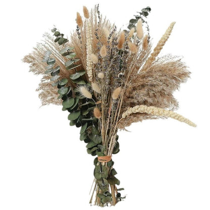 PAMPAS Bohemian Decorative Reed Rabbit Tail Grass Mix And Match Dried Flowers Bouquet The Unalia Brand