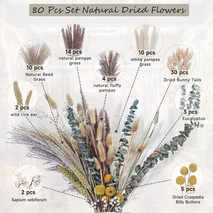 PAMPAS Bohemian Decorative Reed Rabbit Tail Grass Mix And Match Dried Flowers Bouquet The Unalia Brand