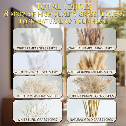 PAMPAS Bohemian Decorative Reed Rabbit Tail Grass Mix And Match Dried Flowers Bouquet The Unalia Brand