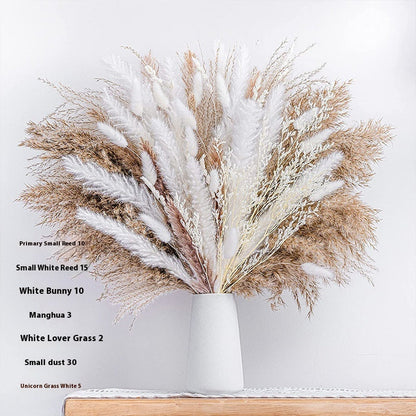 PAMPAS Bohemian Decorative Reed Rabbit Tail Grass Mix And Match Dried Flowers Bouquet The Unalia Brand