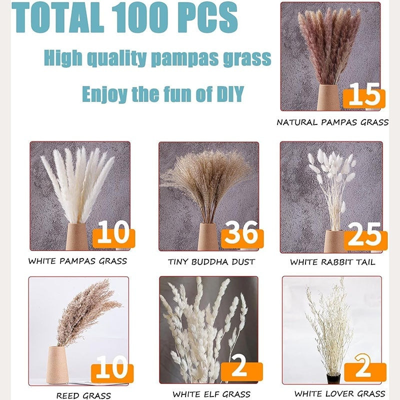 PAMPAS Bohemian Decorative Reed Rabbit Tail Grass Mix And Match Dried Flowers Bouquet The Unalia Brand