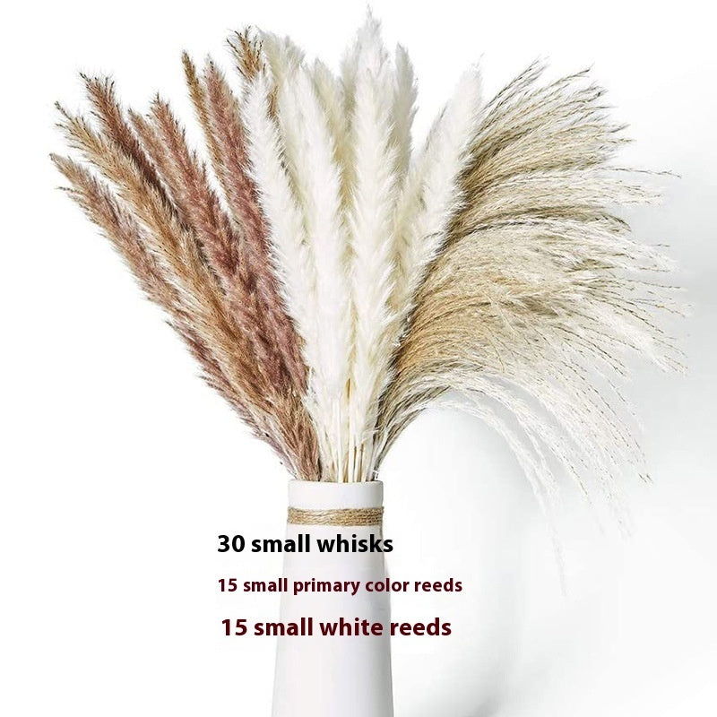 PAMPAS Bohemian Decorative Reed Rabbit Tail Grass Mix And Match Dried Flowers Bouquet The Unalia Brand