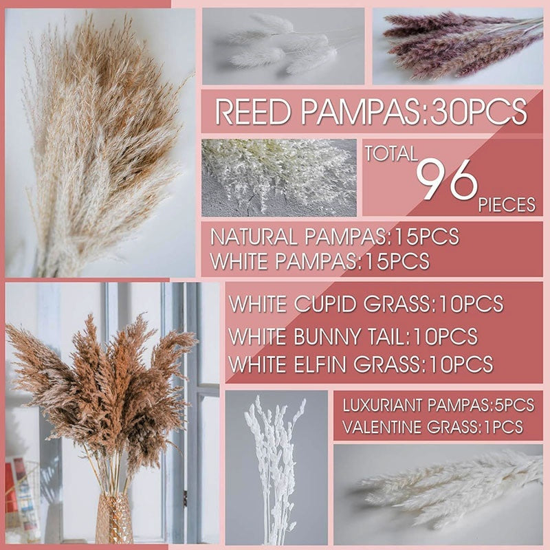 PAMPAS Bohemian Decorative Reed Rabbit Tail Grass Mix And Match Dried Flowers Bouquet The Unalia Brand