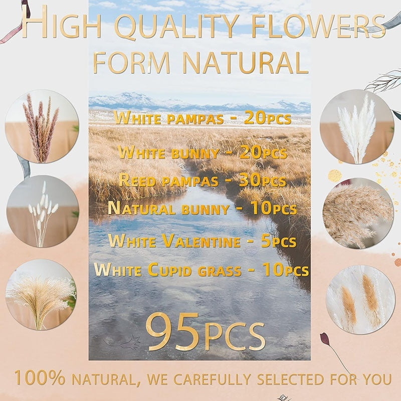 PAMPAS Bohemian Decorative Reed Rabbit Tail Grass Mix And Match Dried Flowers Bouquet The Unalia Brand