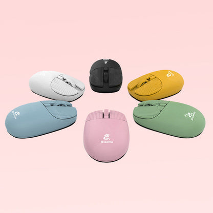 Assorted Matte Computer Mouse The Unalia Brand