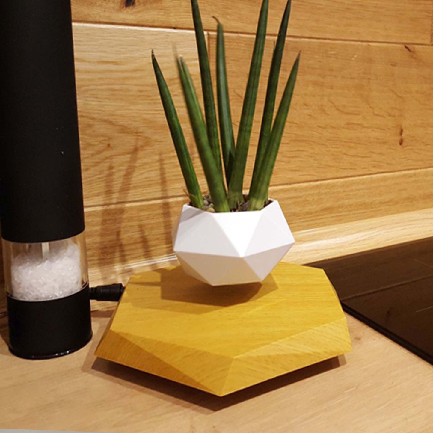 Levitating Flower Pot The Unalia Brand