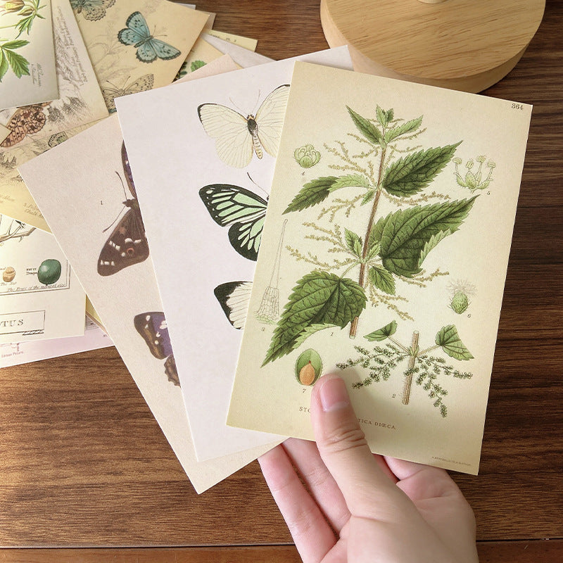 Plant Series Wall Prints 30 Piece