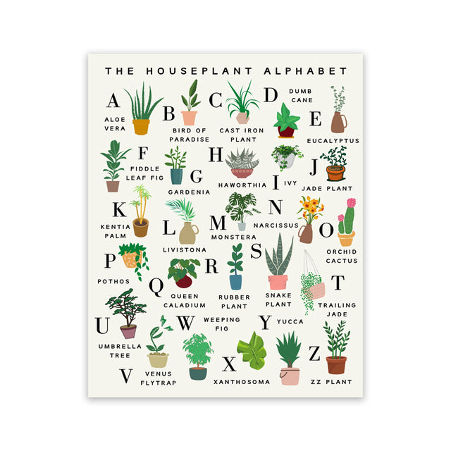 Assorted Plants Canvas Painting