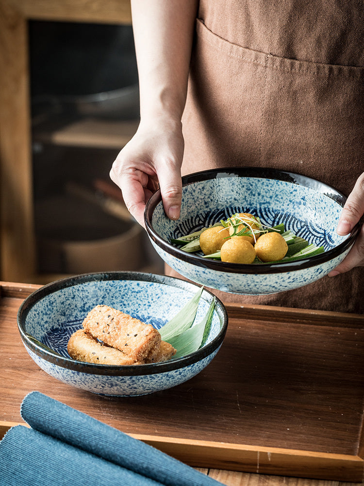 Assorted Blue Steak Plates The Unalia Brand