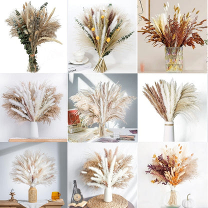 PAMPAS Bohemian Decorative Reed Rabbit Tail Grass Mix And Match Dried Flowers Bouquet The Unalia Brand