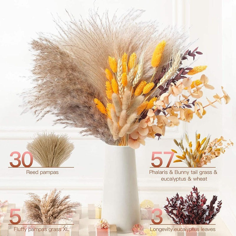 PAMPAS Bohemian Decorative Reed Rabbit Tail Grass Mix And Match Dried Flowers Bouquet The Unalia Brand