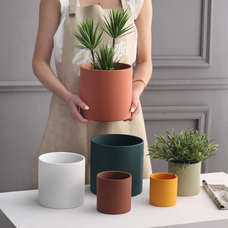 Assorted Cylinder Succulent Vases The Unalia Brand